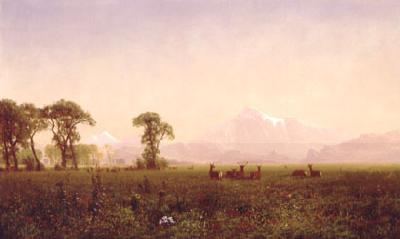 Albert Bierstadt Elk Grazing in the Wind River Country oil painting picture